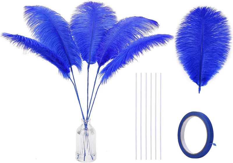 Holmgren Royal Blue Ostrich Feather - 20pcs Making Kit 22 Inch Large Ostrich Feathers for Vase, Floral Arrangement, Wedding Party Centerpieces Home Decorations (Royal Blue) - Image 1